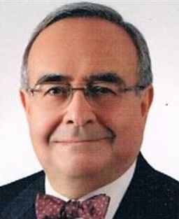 Ali Engin Oba